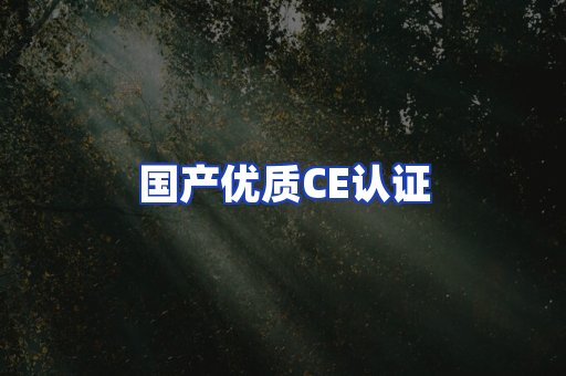 国产优质CE认证