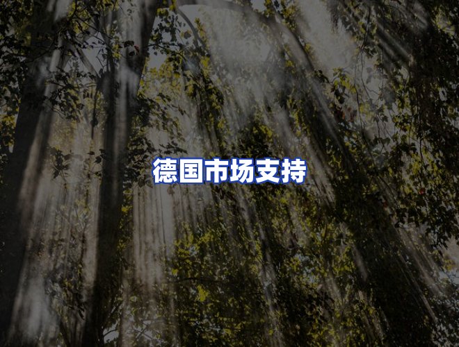 专业团队